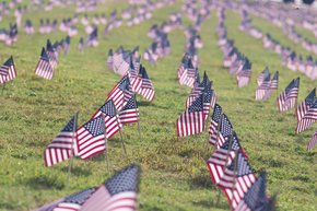 flags
