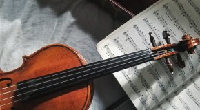 violin
