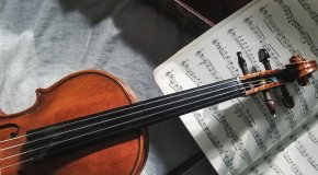 violin