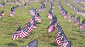 flags