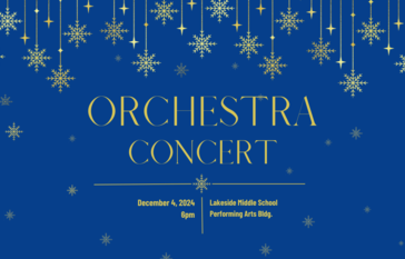 Orchestra concert