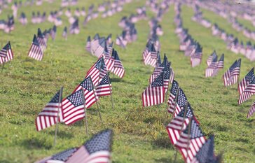 flags