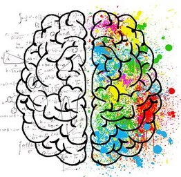 illustration of 2 sides of a brain