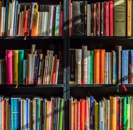 shelves with library books